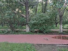 -北陵公园