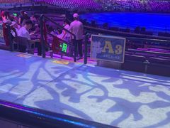 -广州长隆国际大马戏