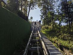 -碧峰峡风景区