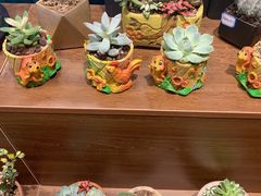 -BOBLOOM花店(宝龙旭辉广场店)