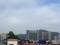 -港安驾校·直营学车·陪驾(后瑞店)