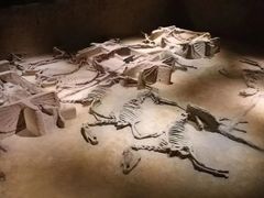 -洛阳周王城天子驾六博物馆