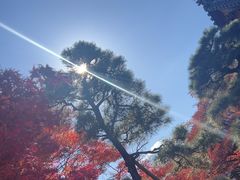 -常寂光寺