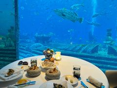 -亚特兰蒂斯•OSSIANO奥西亚诺海底餐厅