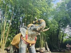 -云南勐巴娜西珍奇园