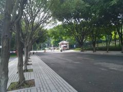 -东莞植物园