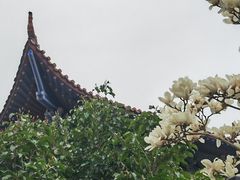 -皇罗禅寺
