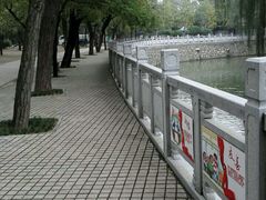-渭滨公园