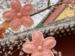 -桃花堤公园