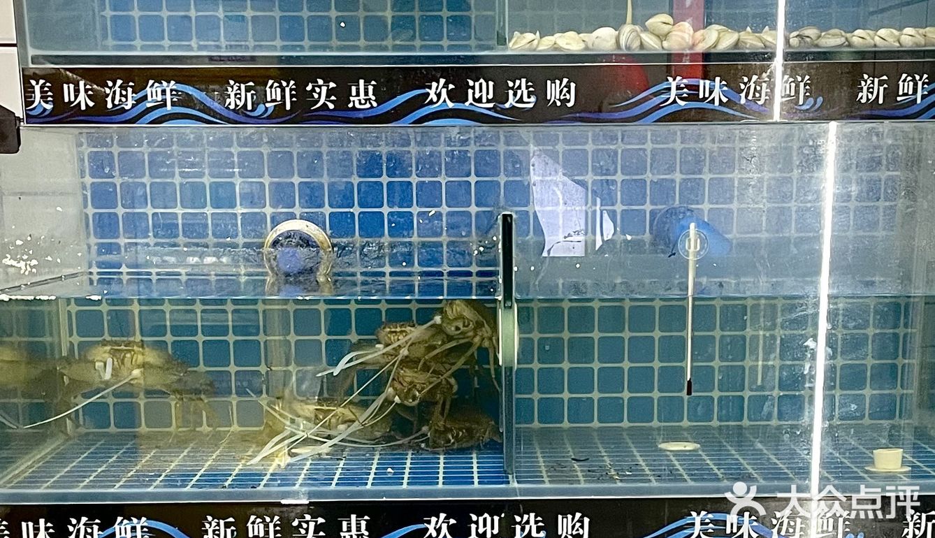 喜欢吃海鲜的朋友看过来👉🏻15.8💰一碗海鲜面 划算‼️