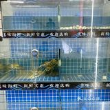 喜欢吃海鲜的朋友看过来👉🏻15.8💰一碗海鲜面 划算‼️