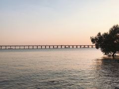 -宝安西湾红树林湿地公园