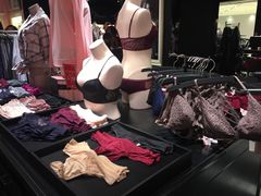 -Victoria's Secret(苏州中心全品类店)
