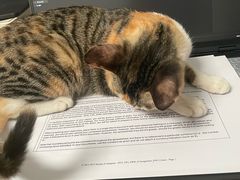 -瑞鹏宠物医院·骨科·猫科·内科(第一中心)
