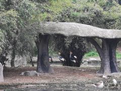 -宁波野生动物园