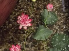 -碧露轩·大益茶体验馆(镇江路店)