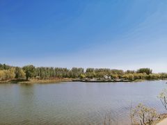 -东郊湿地公园