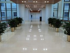 -首都医科大学附属北京同仁医院(南区)