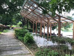 -广悦华阳朔河畔度假酒店(十里画廊遇龙河店)