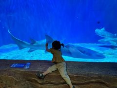 -华夏文旅海洋公园