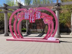 -桃花堤公园