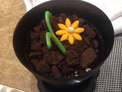 -盛宴标帜餐厅·亲子自助 (南昌喜来登酒店)