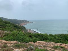 -广东惠东海龟国家级自然保护区