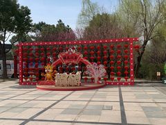 -香雪海