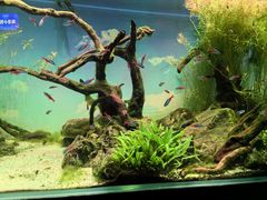 -沈阳海洋探索中心