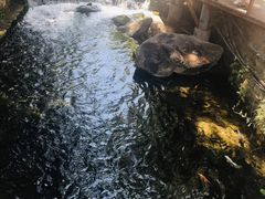 -水磨沟公园