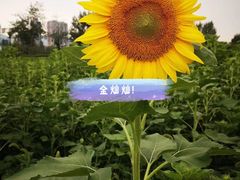 -宝鸡植物园