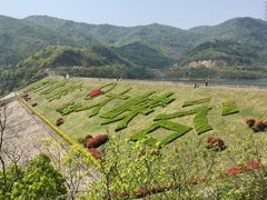 -东海大峡谷
