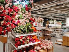 -宜家家居(哈尔滨商场店)