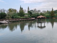 -溱湖国家湿地公园