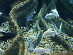 -波塞冬旅游度假区