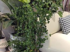 -花辰月夕花坊(北滨路店)