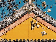 -龙华寺