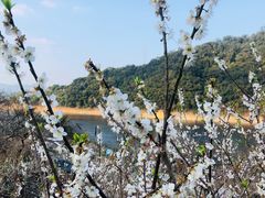 -广州市流溪河国家森林公园