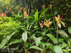 -深圳国际园林花卉博览园