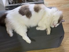 -白兔子密室(长寿路店)