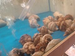 -质烤烤物·活烤海鲜(质烤总店)