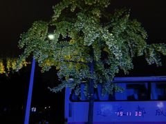 -四川大学(望江校区)