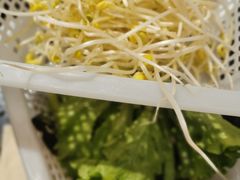 -马帮菜馆·美味野生菌