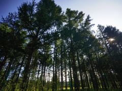 -塞罕坝国家级自然保护区