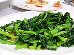 白灼菜心-叶氏大快活酒楼·佛山老字号