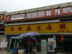 -蚝专家