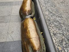 -顺城公园