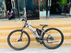 -道路口单车爱瓦士dahon大行