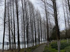 -南昌青山湖风景区