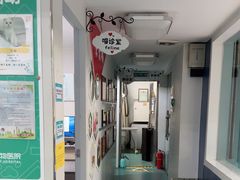 -瑞派先诺宠物医院•猫专科•普外科•中兽医(佛山院)